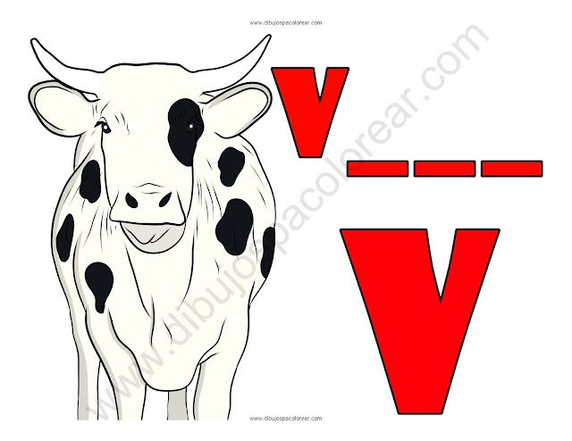 Vaca letra V abecedario dibujo a color y para colorear
